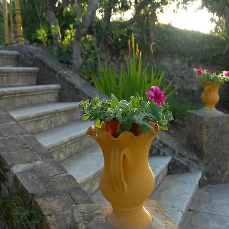 In Corfu Near The Sea
