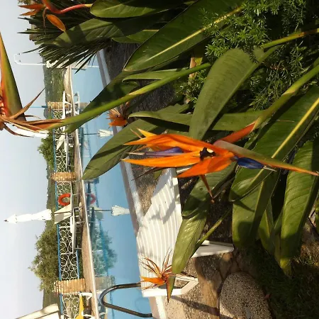 In Corfu Near The Sea *