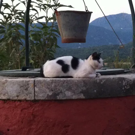 In Corfu Near The Sea * ליאפאדס