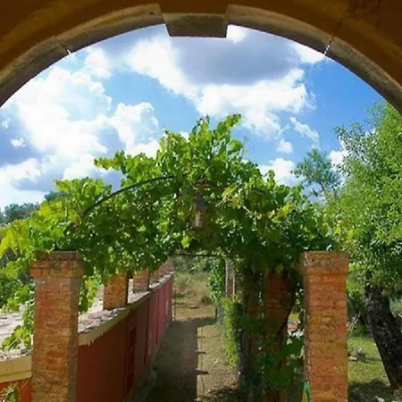 In Corfu Near The Sea * Liapades