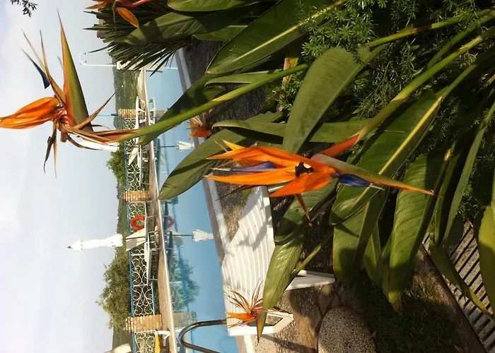In Corfu Near The Sea *