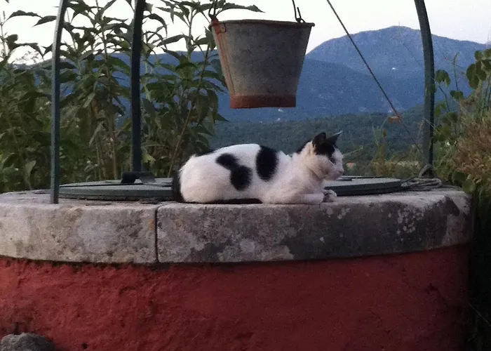 In Corfu Near The Sea * Лиападес