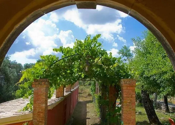 In Corfu Near The Sea * Лиападес