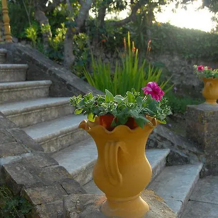 In Corfu Near The Sea דירה *